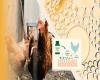 توليد نخستين مكمل آشاميدني براي تقويت سيستم ايمني مخاطي طيور در ايران و خاورميانه